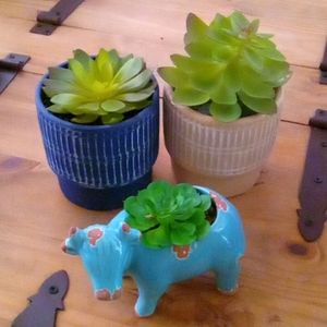 3 Potted Artificial Succulent Plants